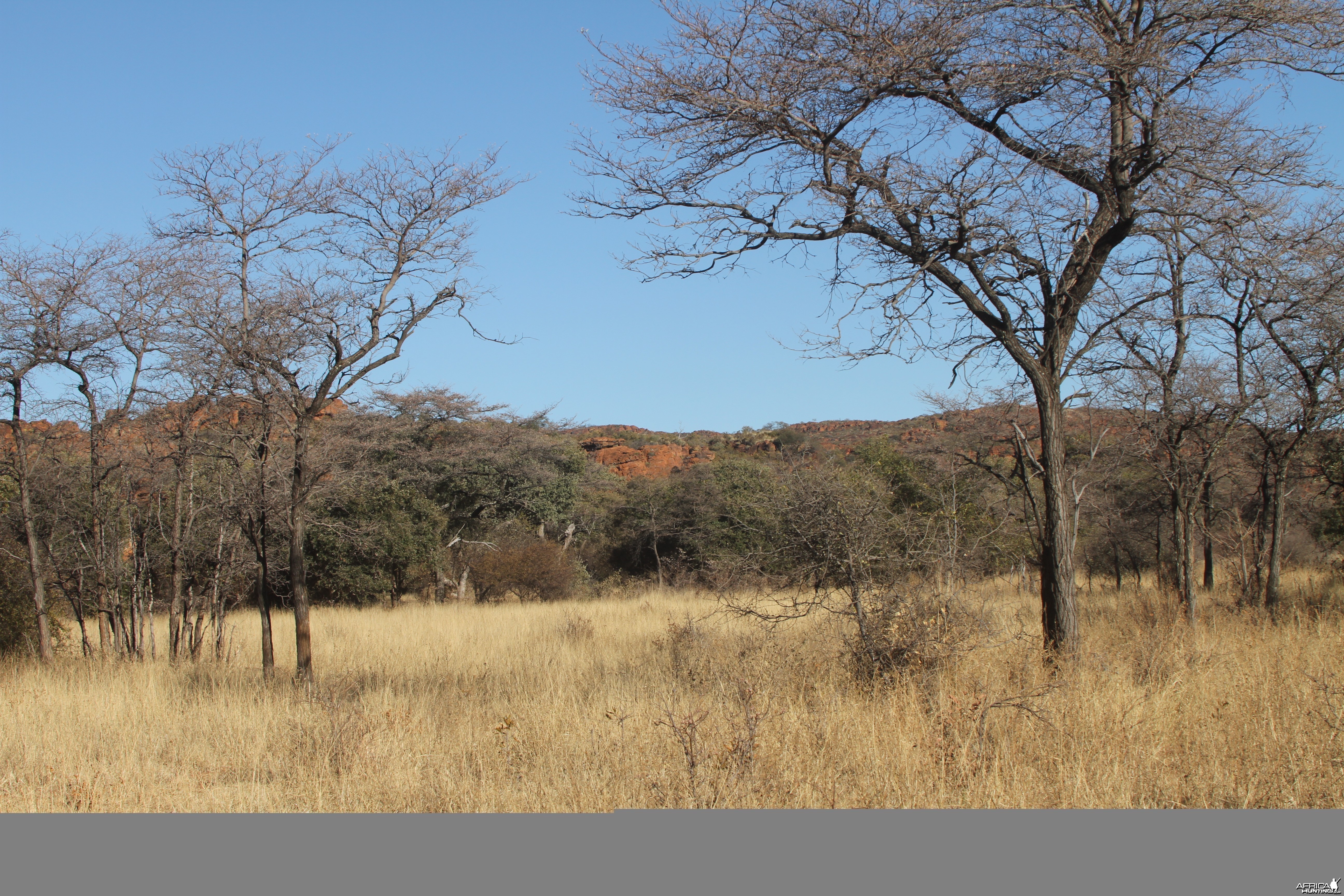 Waterberg National Park Namibia
