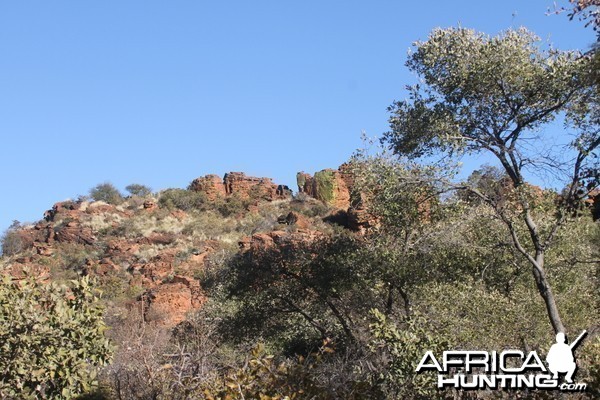 Waterberg National Park Namibia