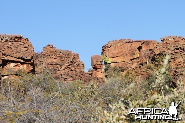 Waterberg National Park Namibia