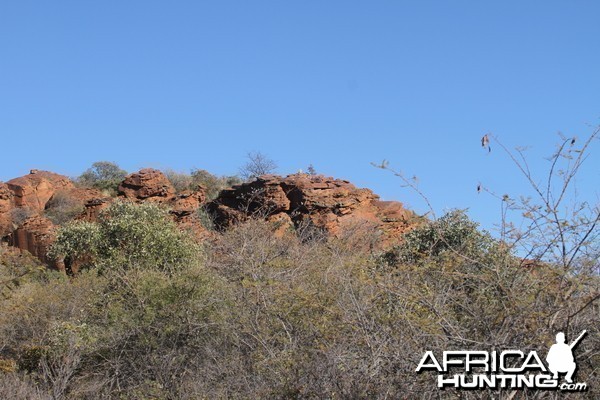 Waterberg National Park Namibia