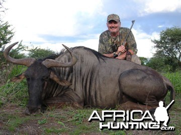 Blue Wildebeest Hunting in Namibia