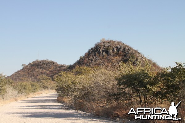 Etosha National Park