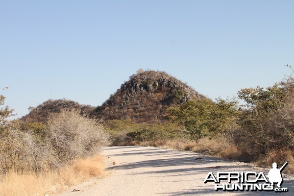 Etosha National Park