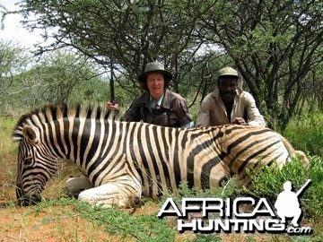 Burchell's Zebra (Plain Zebra) Namibia