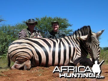 Burchell's Zebra (Plain Zebra) Namibia