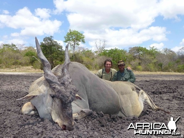 Eland Tanzanie