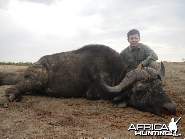 Zimbabwe 2012 1st Buffalo