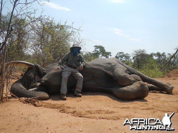 Zimbabwe 2012 2nd Elephant