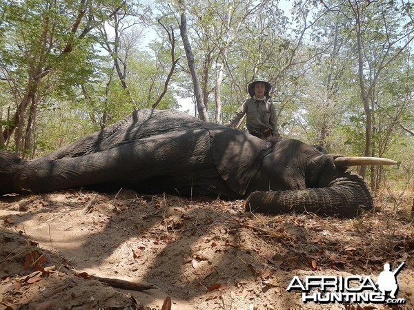 Zimbabwe 2012 5th Elephant