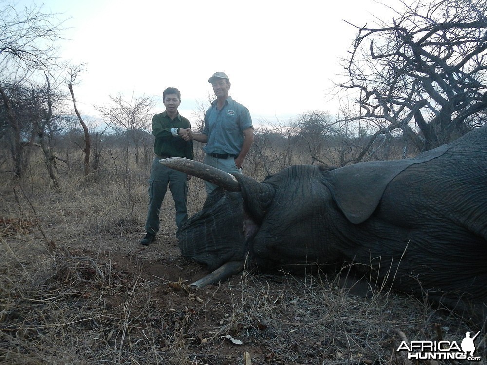 Zimbabwe 2012 7th Elephant