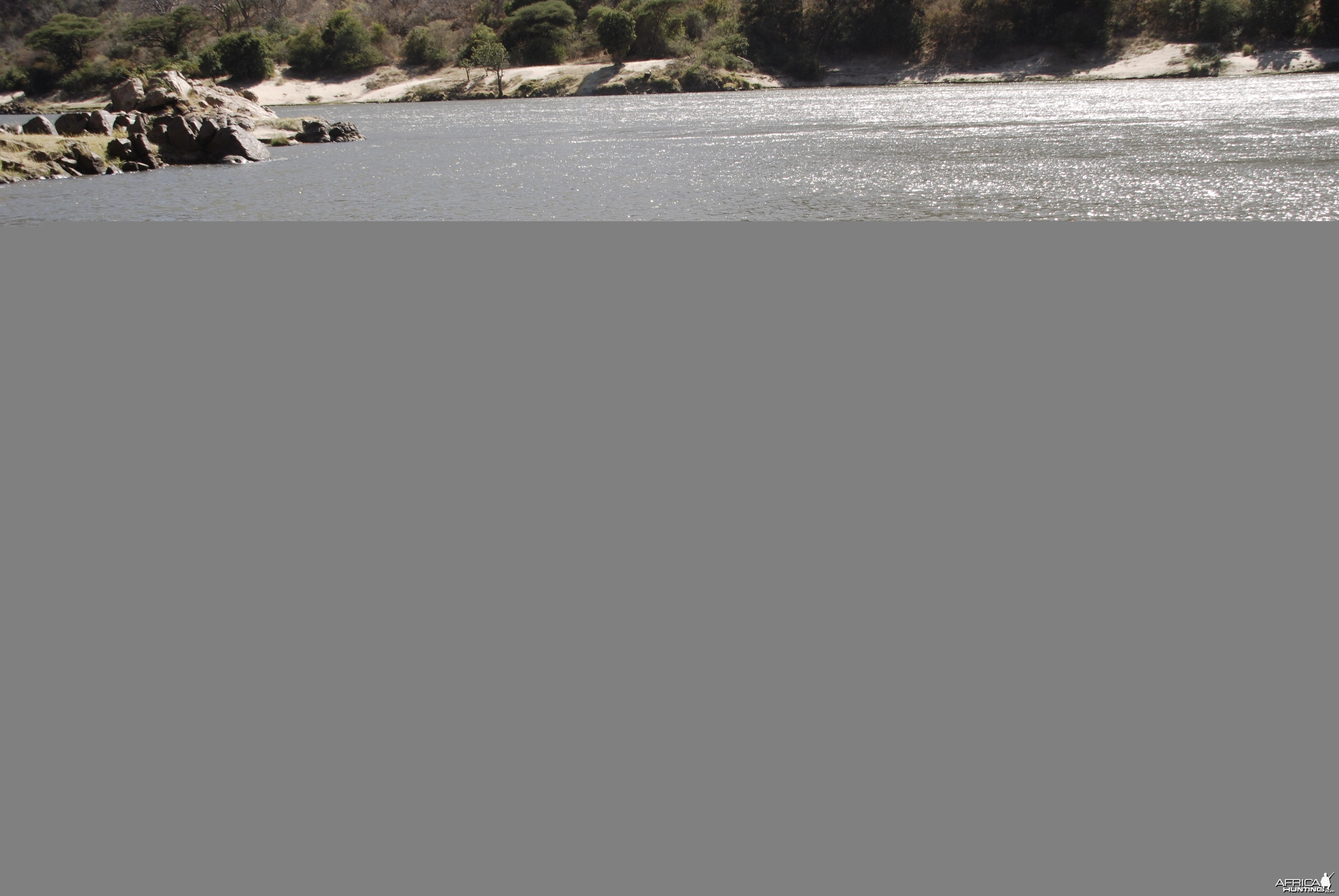 Croc 15'2&quot; Zimbabwe 2012