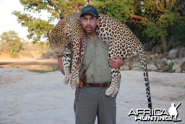 Zimbabwe Leopard 2012