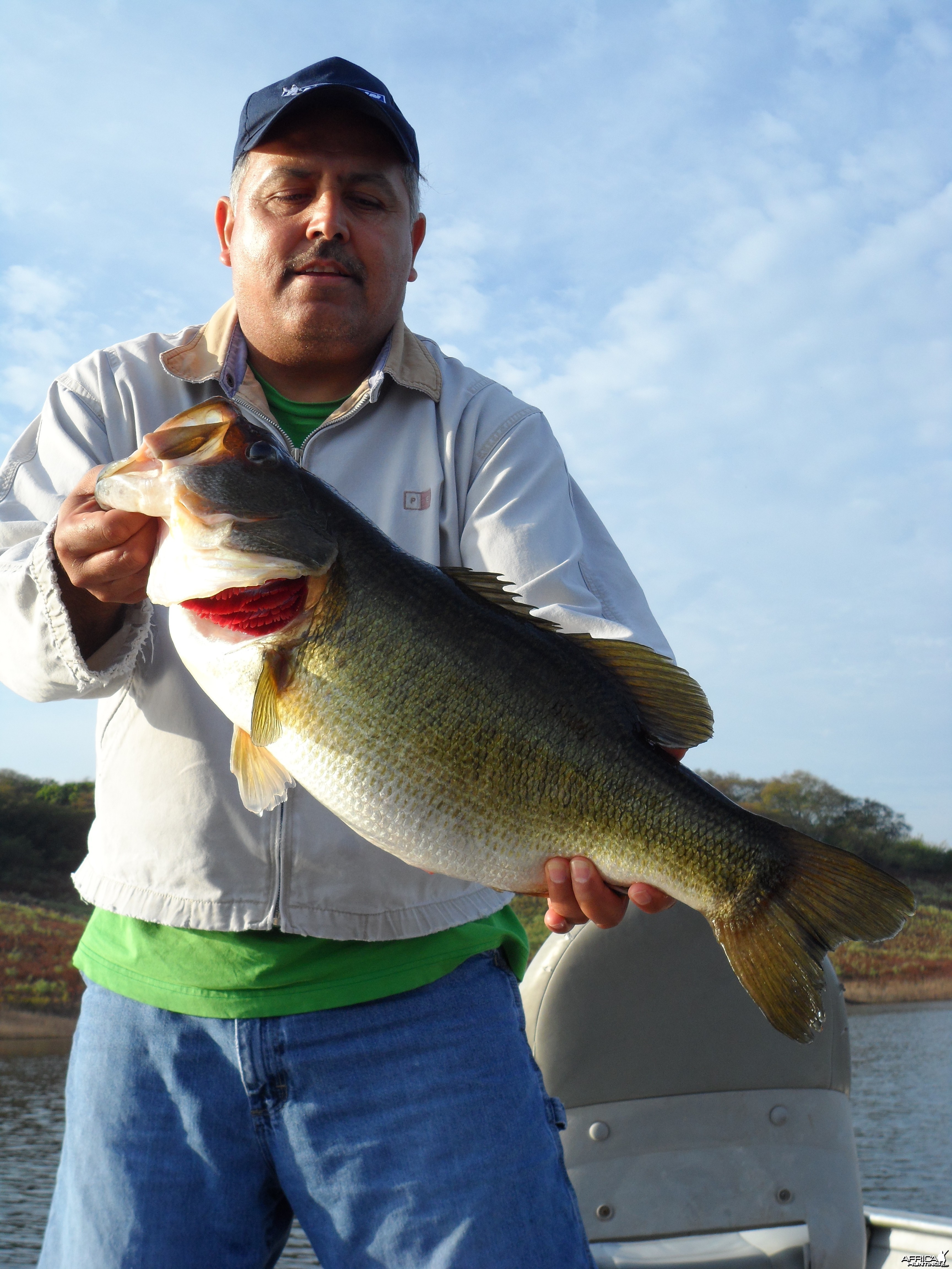 Bass of Sinaloa in Western Mexico