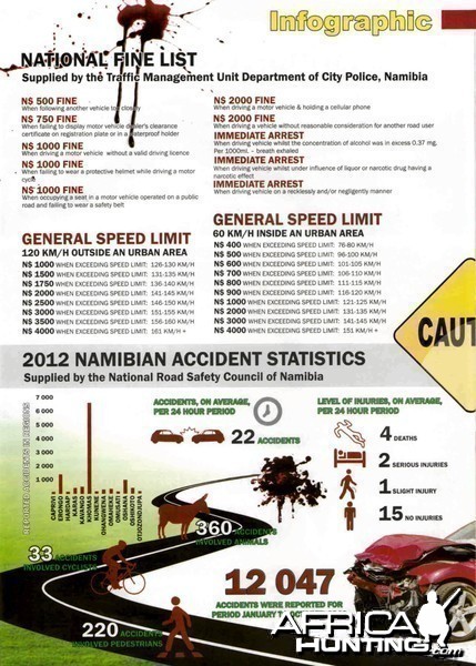 Namibia Fine List and Accident Statistics