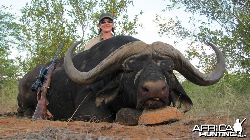Magnificent 46 inch Buffalo hunted with Wintershoek Johnny Vivier Safaris