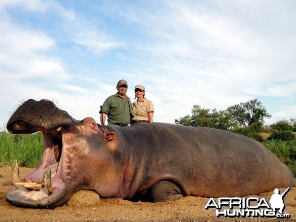 Hippo hunted with Wintershoek Johnny Vivier Safaris