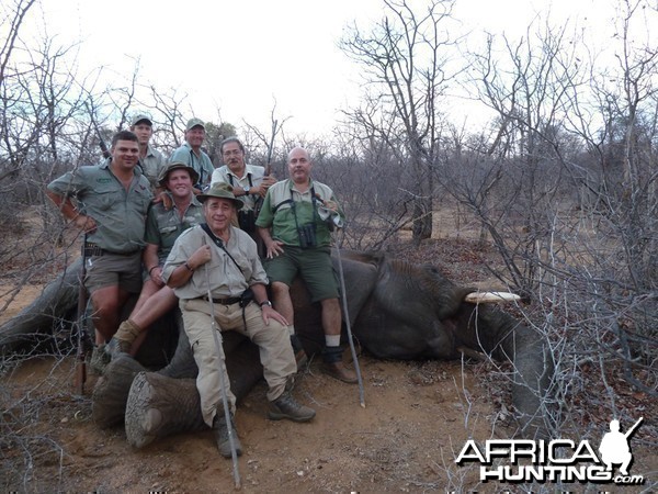 Elephant hunted with Wintershoek Johnny Vivier Safaris