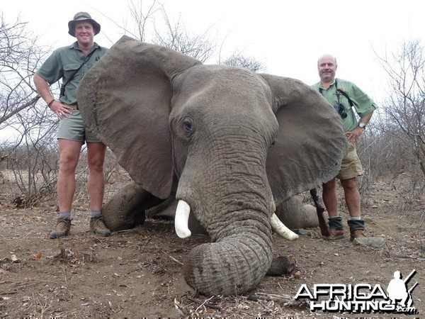 Elephant hunted with Wintershoek Johnny Vivier Safaris