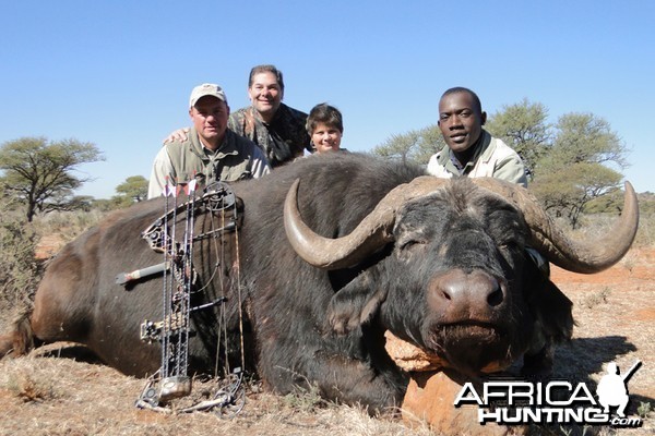 Buffalo hunted with Wintershoek Johnny Vivier Safaris