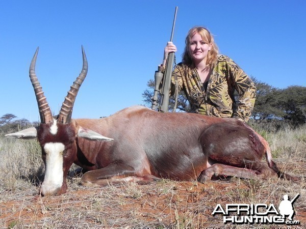 Blesbok hunted with Wintershoek Johnny Vivier Safaris