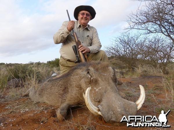 Warthog hunted with Wintershoek Johnny Vivier Safaris