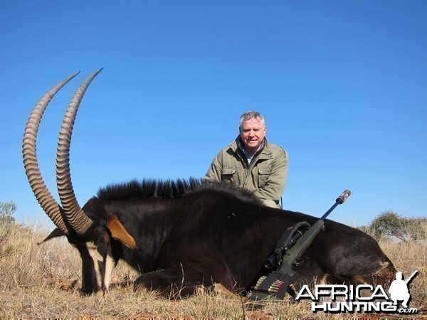 Sable hunted with Wintershoek Johnny Vivier Safaris