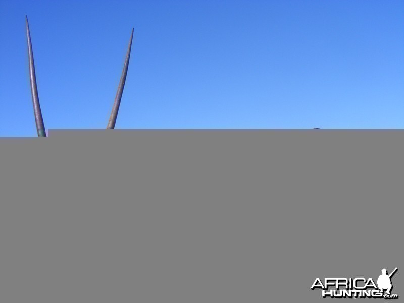 Gemsbok hunted with Wintershoek Johnny Vivier Safaris