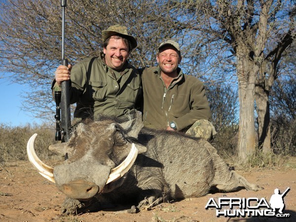 Warthog hunted with Wintershoek Johnny Vivier Safaris