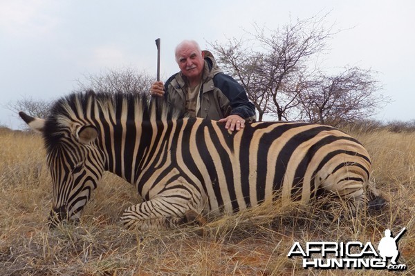 Burchell's Zebra hunted with Wintershoek Johnny Vivier Safaris