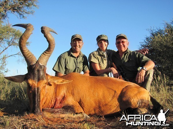 Red Hartebeest hunted with Wintershoek Johnny Vivier Safaris