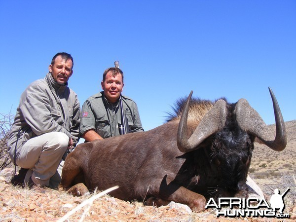 Black Wildebeest hunted with Wintershoek Johnny Vivier Safaris