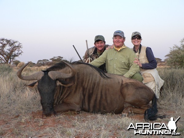 Blue Wildebeest hunted with Wintershoek Johnny Vivier Safaris