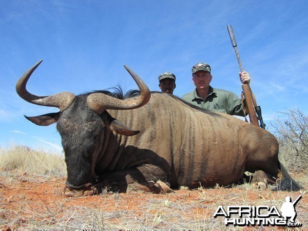 Blue Wildebeest hunted with Wintershoek Johnny Vivier Safaris