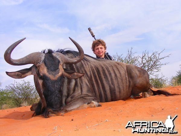 Blue Wildebeest hunted with Wintershoek Johnny Vivier Safaris