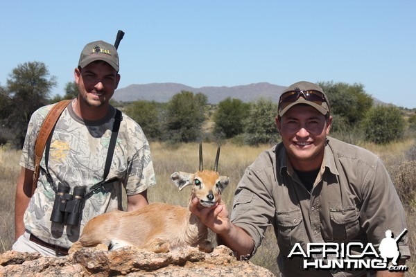 Steenbok