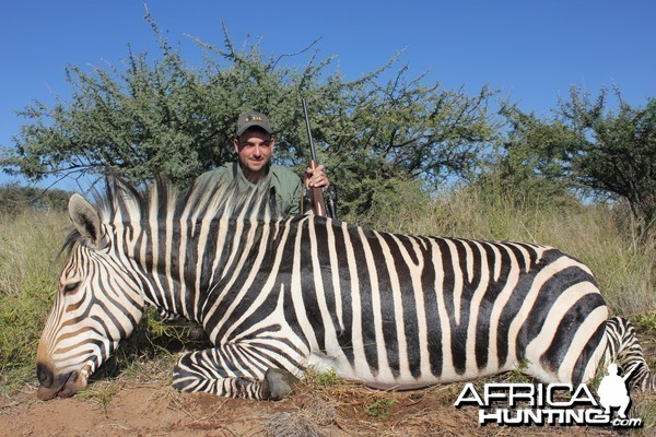 Zebra Namibia 2012