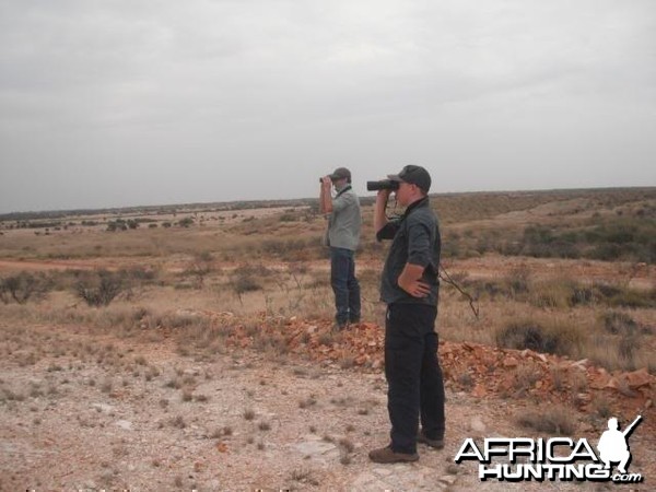 Hunting Camel in the Australian Outback