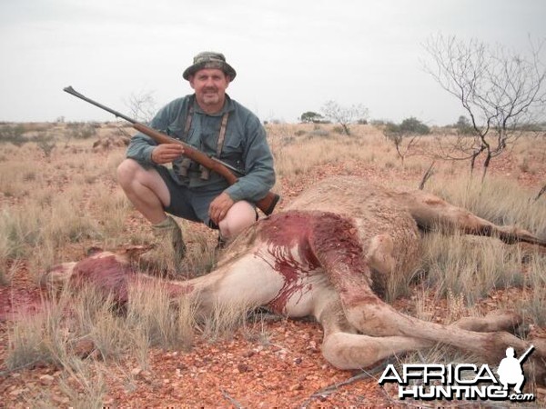 Hunting Camel in the Australian Outback