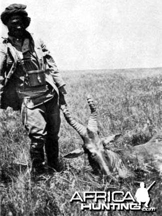 Trophy Hartebeest