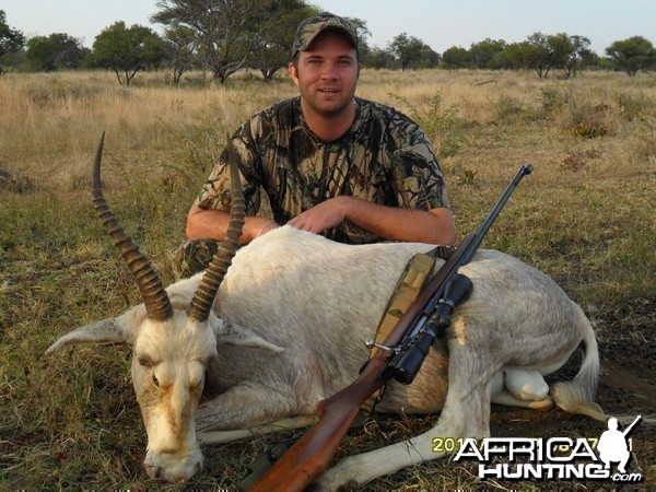 White Blesbok