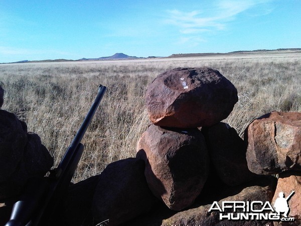 Karoo Hunting Blind