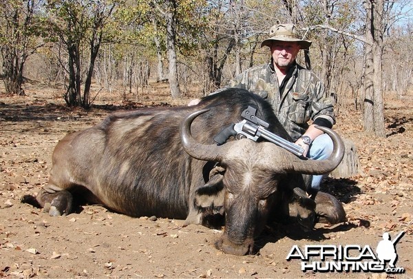 cape buffalo