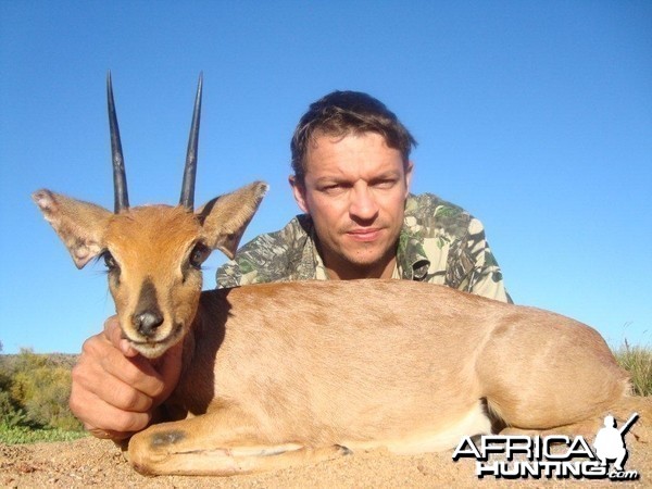 Steenbok 5.25&quot;