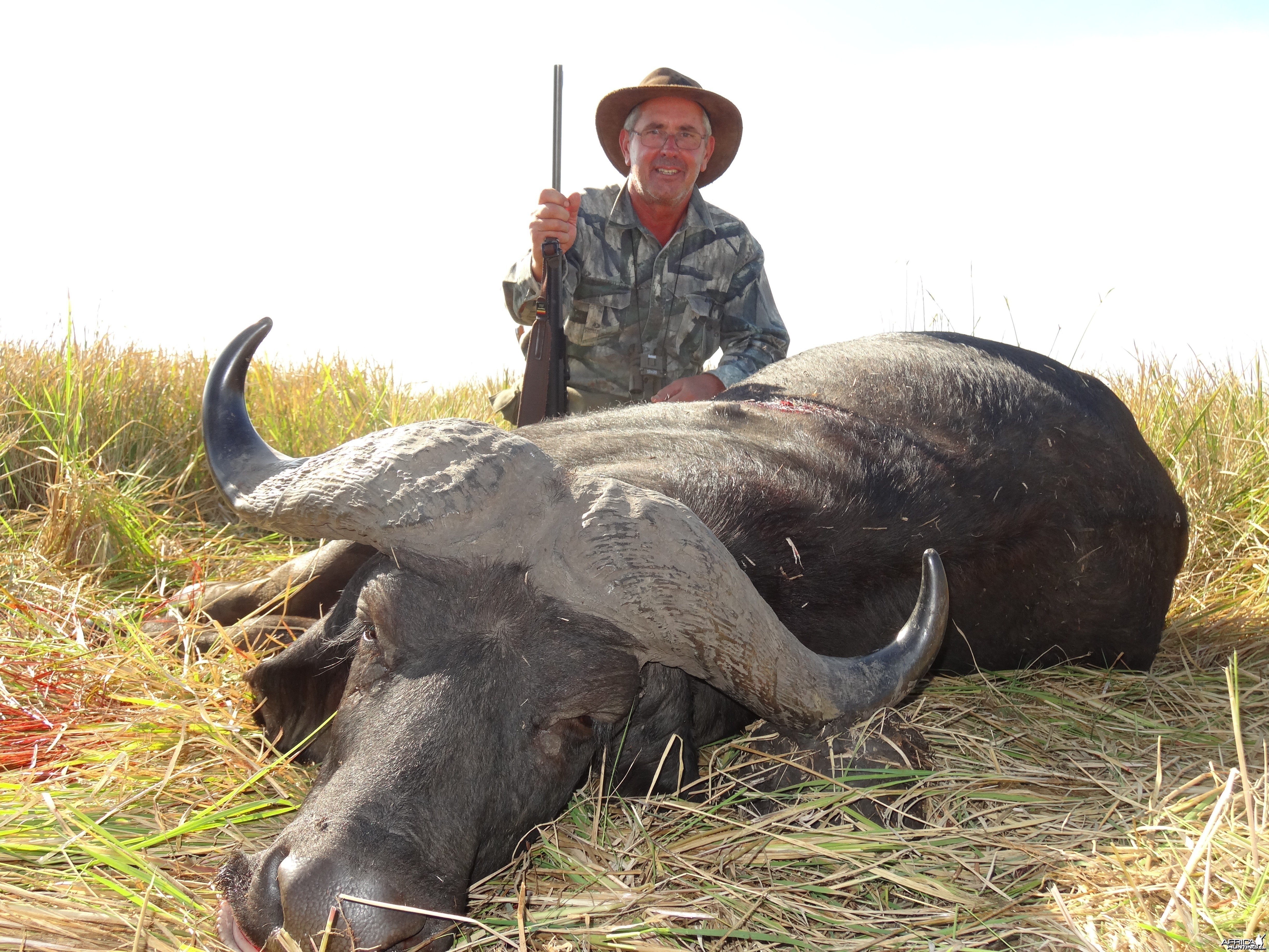 Buffalo