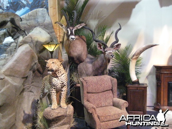 Taxidermy at Safari Club International Convention