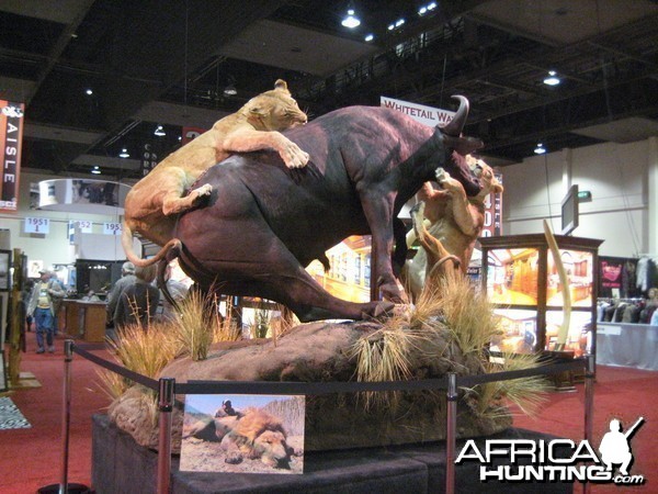 Taxidermy at Safari Club International Convention