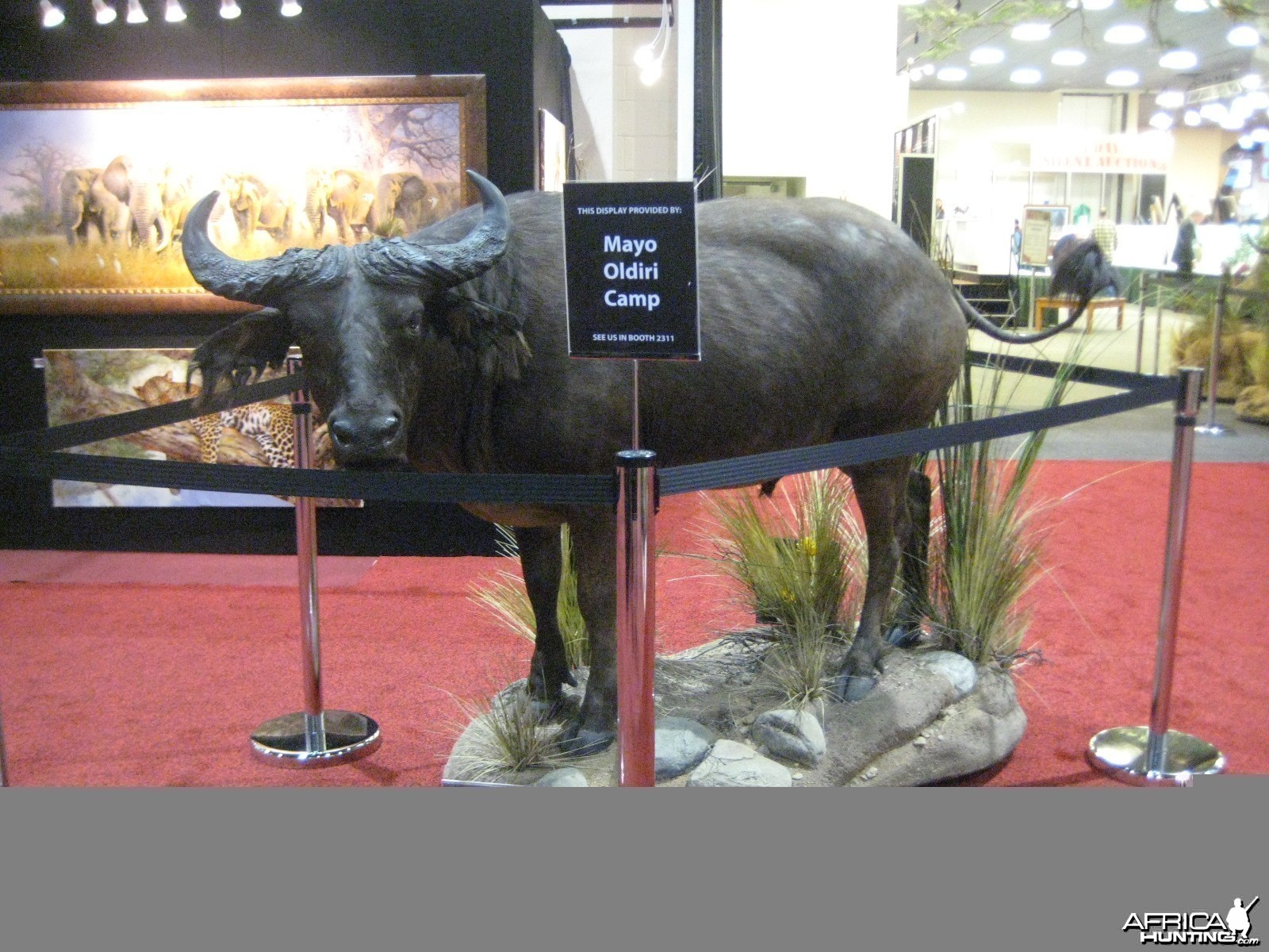 Taxidermy at Safari Club International Convention