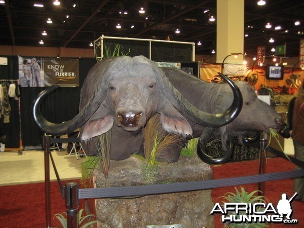 Taxidermy at Safari Club International Convention