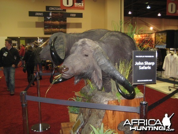 Taxidermy at Safari Club International Convention