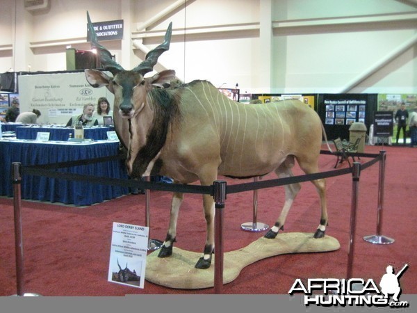 Taxidermy at Safari Club International Convention